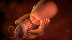 Dreaming of a fetus, what does it mean?