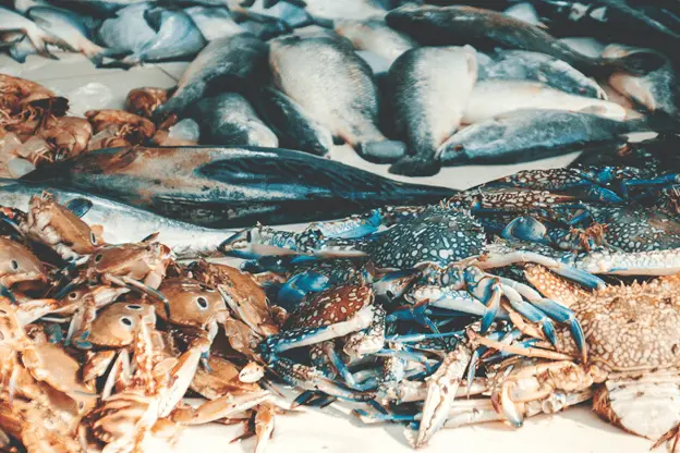 Freshness Guaranteed: Ensuring Quality With Wholesale Seafood