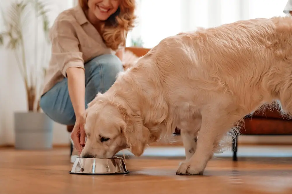Next-Gen Nutrition for Next-Gen Pets
